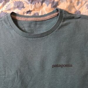 Patagonia Men's Blue Short Sleeve Tee